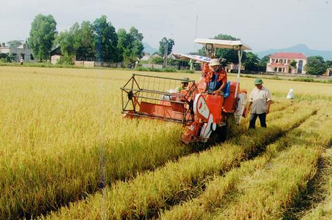 Cơ giới hóa bằng… nhập khẩu